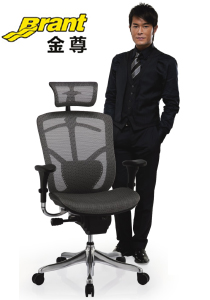 ����ϵ�а칫��(Brant) CG-brant
